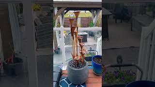 My Canadian backyard decor ideas #foryou #ytshorts #garden #gardendesign