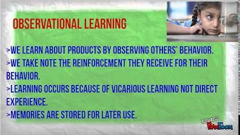 LEARNING & MEMORY (CONSUMER BEHAVIOUR)