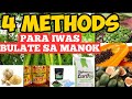 4 METHODS PARA BULATE-FREE ANG ATING MANOK - WANDERING SOUL