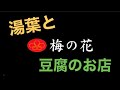 湯葉と豆腐のお店梅の花