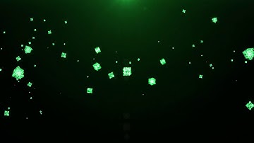 05 SynerGill Plexus of particles