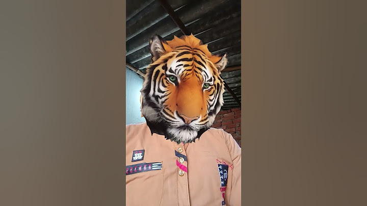 Bhaiya Ud gaye rocket ke sath #comedy #funny #shortcomedy