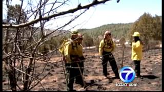 Fire crews get upper hand on Curtis Fire