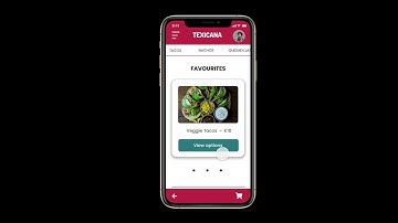 Texicana High Fidelity Prototype