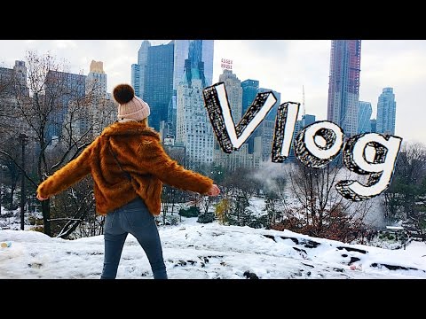 Нью-Йорк. Центральный Парк. Рождество.