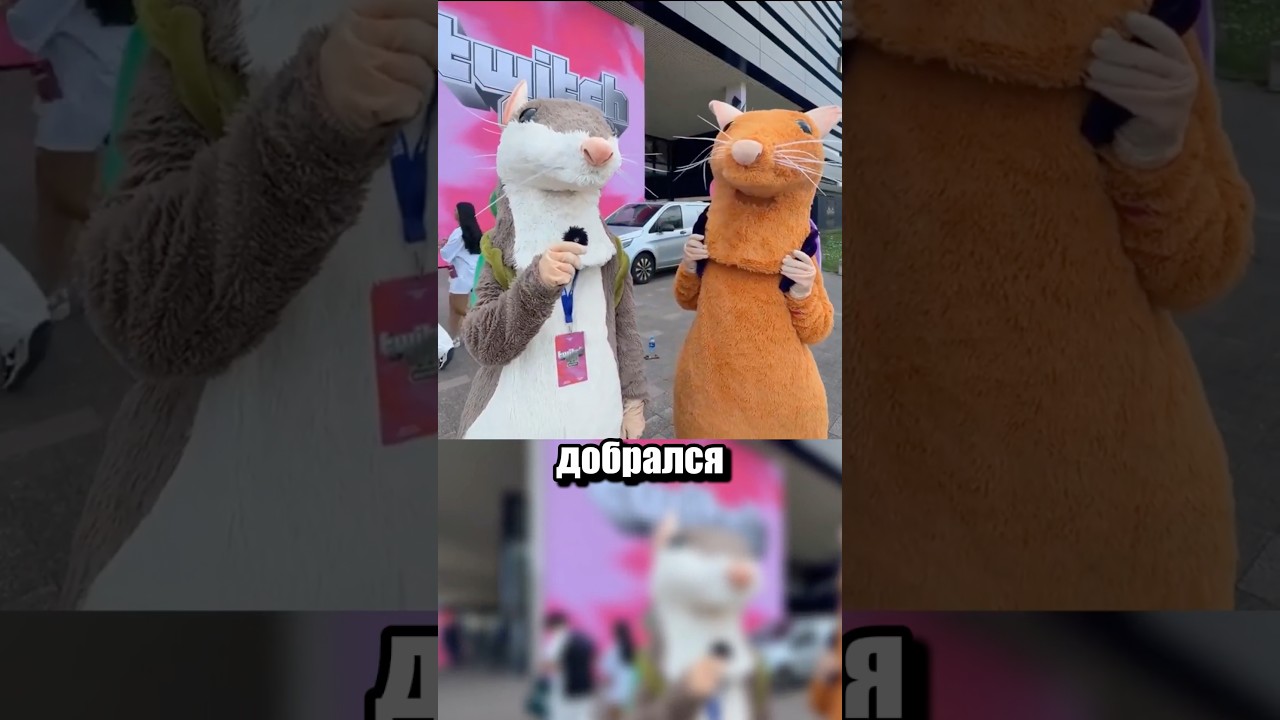 Твич пробивает новое дно