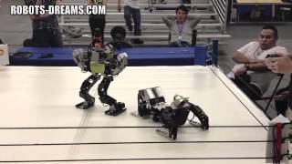 RoboGames 2012: Robot Kung Fu - Middleweight - Wimbleton vs. KiaNaut