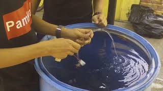 Performance Task in Earth Science | Angelie Marian | Philippines