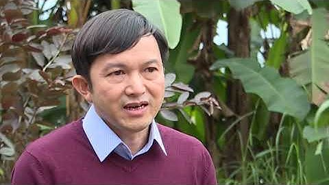 Tết Nhảy của người Dao quần Chẹt huyện Yên Lập - Phần Nhảy