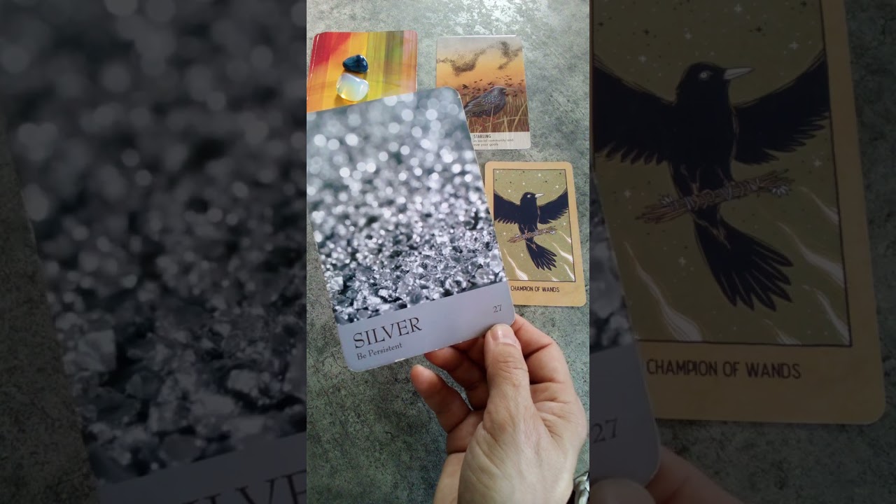 PISCES August Oracle Tarot Reading Extended 