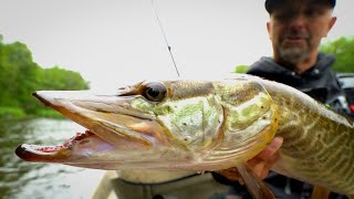 Floating Secret River For Toothy Fish