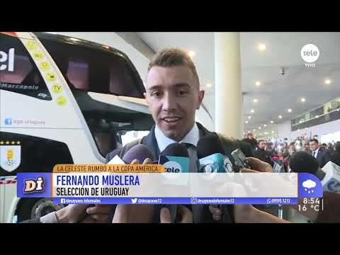 Uruguay partió rumbo a la Copa América de Brasil 2019