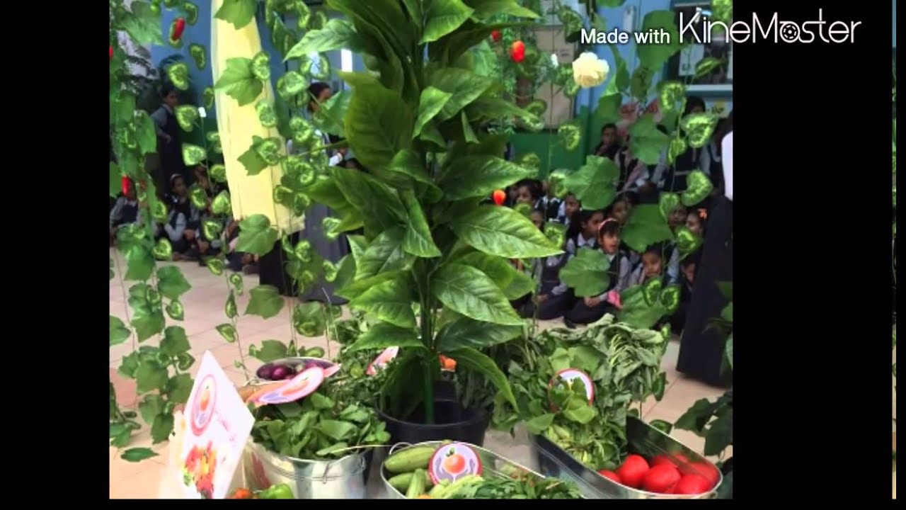 تفعيل برنامج الفواكه والخضروات ب 83 بالمدينة