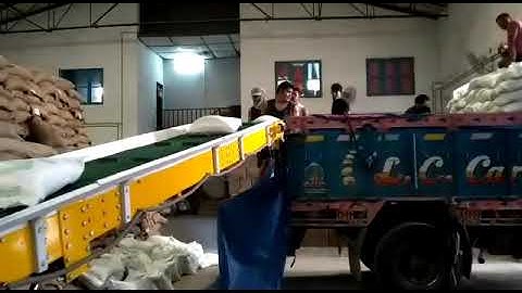 Bag Conveying System for warehouses Rice Soyabean Wheat- Truck Loader 8P and Shifting Conveyor