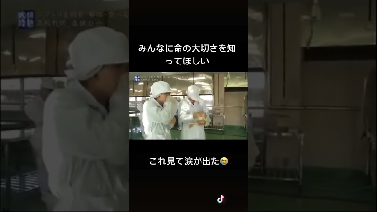 当たり前に感謝です😢#shorts #命理 #人生 #うさぎのいる暮らし #生きる