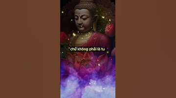 Cách tu tại gia sao cho đúng - hướng dẫn phật tử đúng cách|| Tiền và tỉnh thức #shorts