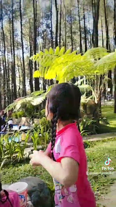 hawane syahdu☘️ #trawas #mojokerto #shortsviral #shortvideo #shortsvideo