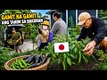 WALANG PASOK SA TRABAHO , GAMITIN NATIN ANG TANIM SA BAKURAN | Life in Japan