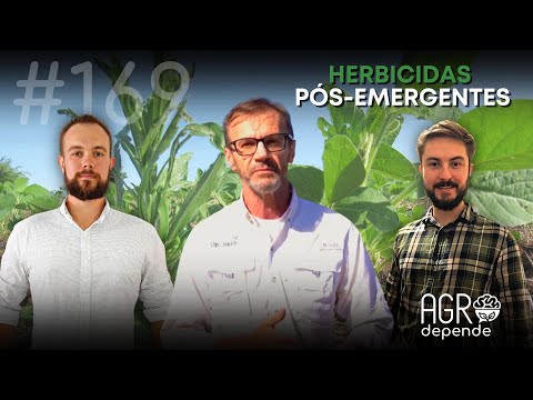 Vídeo: Informações pós-emergentes - Tipos de herbicidas pós-emergentes