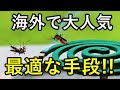 【海外の反応】日本で生まれた渦巻き型蚊取り線香に海外「世界中の人が知ってるぞ」と話題沸騰!!【感動心をゆさぶるチャンネル】