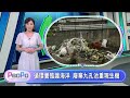 PeoPo公民新聞報｜小家電義修進社區  廢棄九孔池循環養殖護海洋 20260622