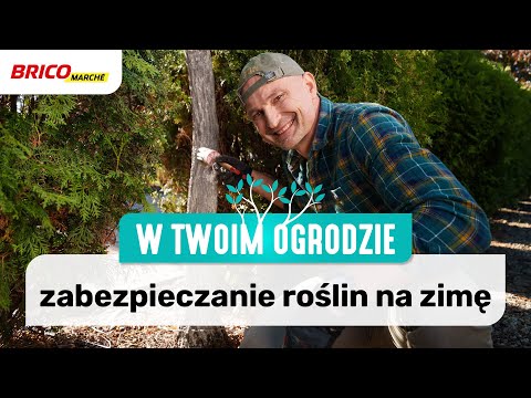 Wideo: Jak Chronić Swój Ogród Przed Atakami Gryzoni - Zające, Myszy I Nasze Drzewa Zimą?