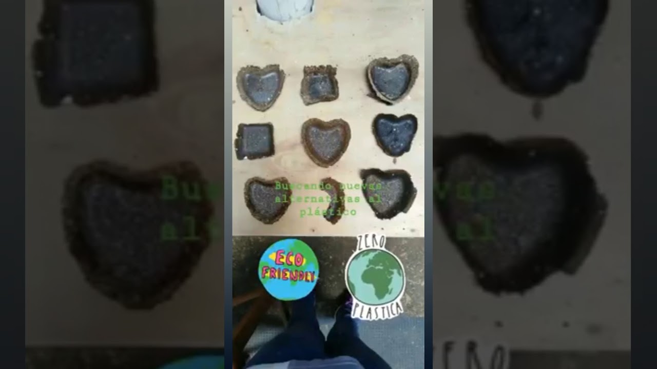 Biodegradable disposal plates