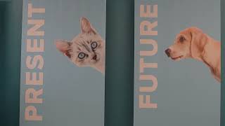 Emancipet Opens New Killeen Veterinary Clinic