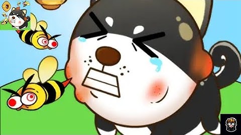 Save The Dog Gameplay Walkthrough