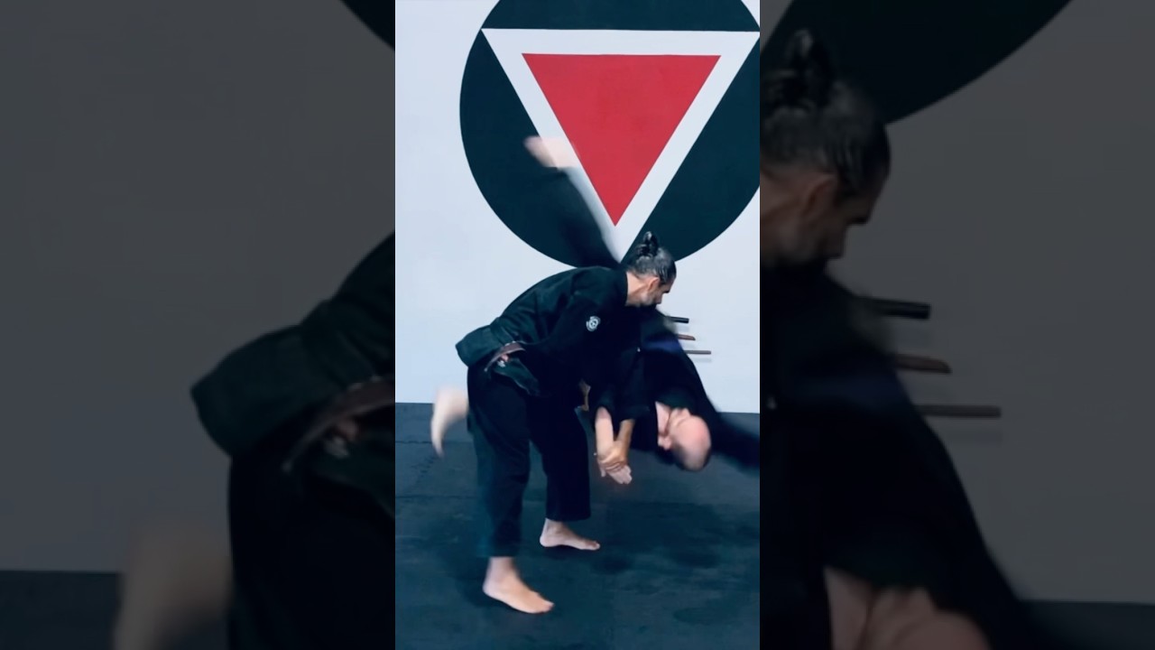 Aikido Kickboxing Training Combination