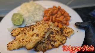 Triggerfish Catch, Clean & Cook by 305 Florida Boy 923 views 3 months ago 24 minutes