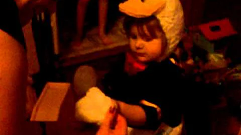 Donald Hayden Duck