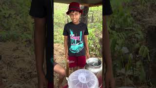 Chunks മാങ്ങജ്യൂസ് #chunks #mangojuice