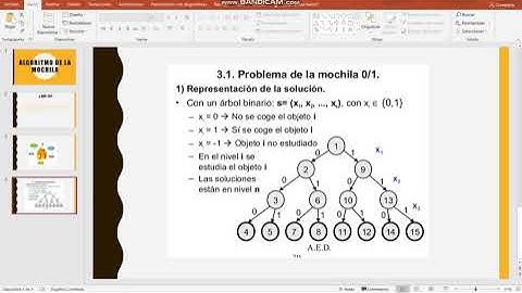 Explicación Algoritmo Mochila