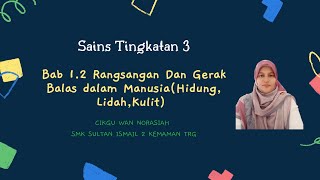 Sains Tingkatan 3|Bab 1.2 Rangsangan Dan Gerak Balas dalam Manusia (Hidung,Lidah,Kulit)
