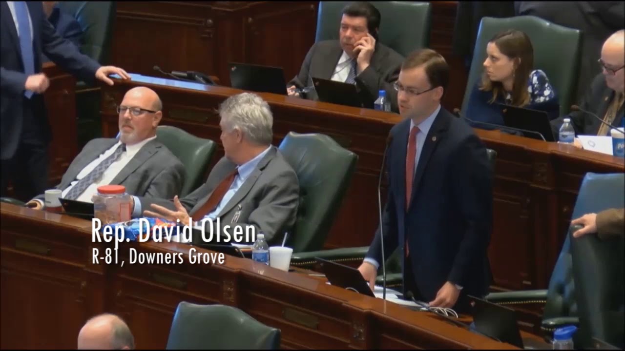 illinois general assembly statutes Rep. Olsen Champions Good Samaritan Law for Animals