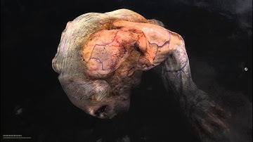 STALKER Call of Pripyat Misery Mod 2.1 Killing the Pseudogiant HD1080p