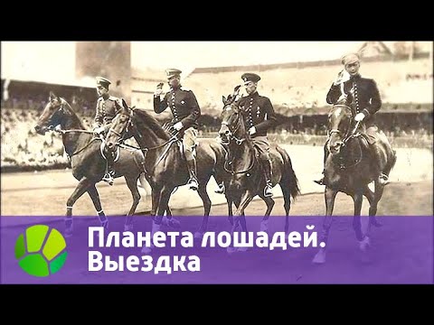 Планета лошадей. Выездка | Живая Планета