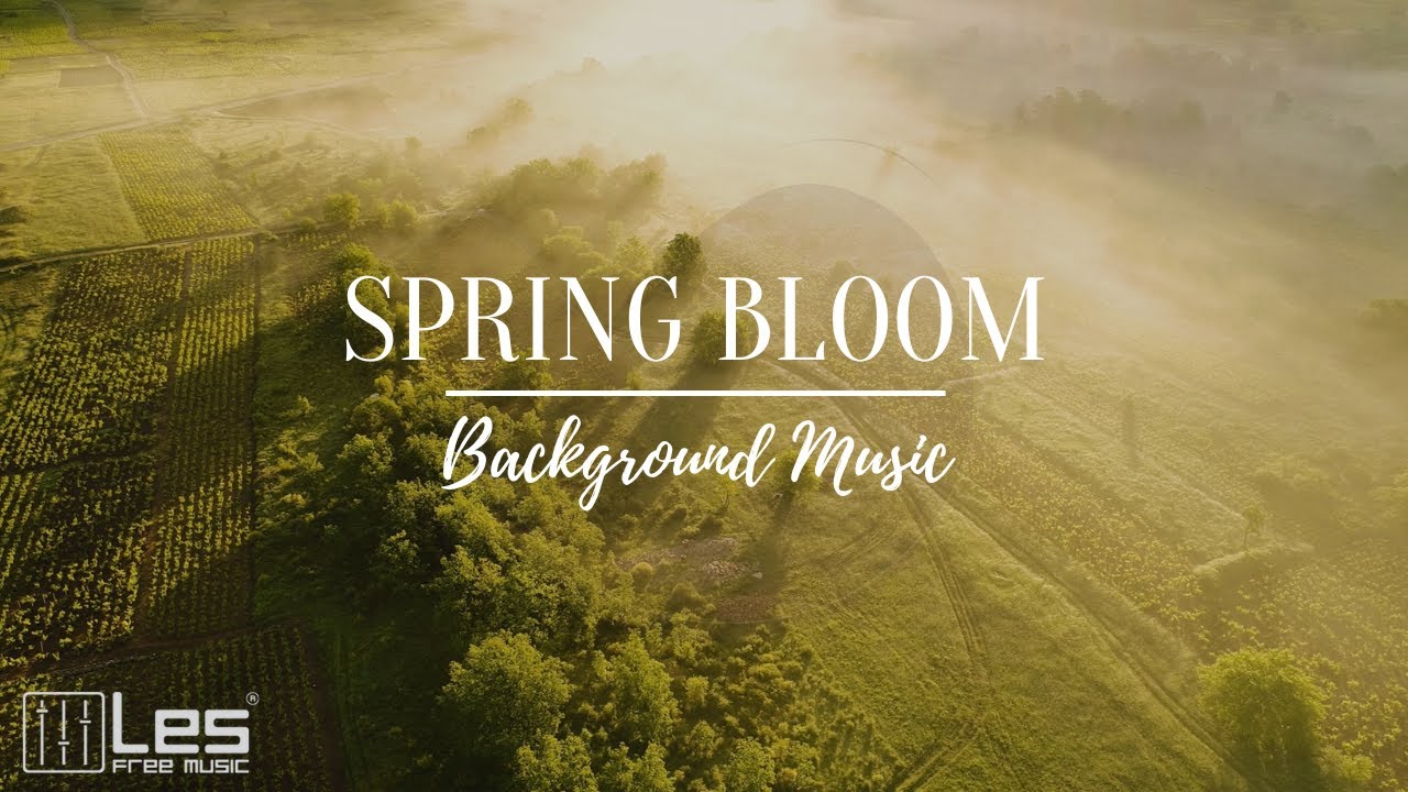 Spring Bloom : Solo Piano Dreamy Peaceful Background Music - YouTube