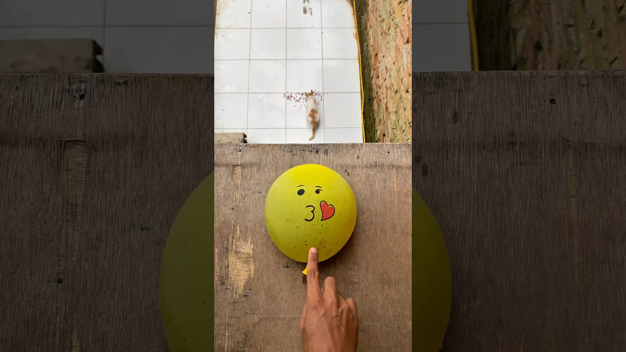 Experiment: Dropping an emoji water balloon from a height