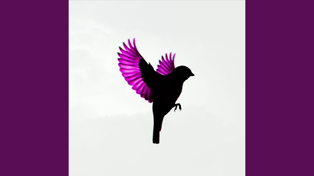 Watch Sparrow on YouTube Watch Sparrow on YouTube