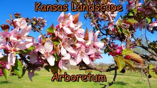 The Kansas Landscape Arboretum
