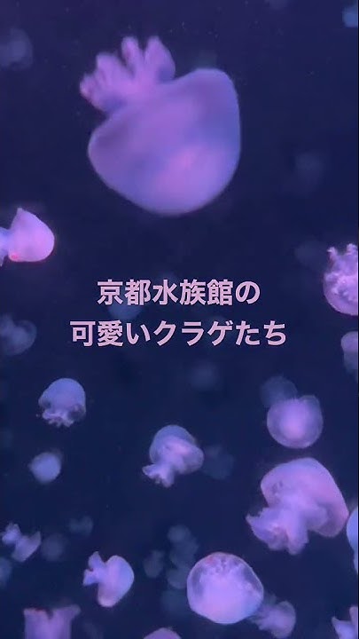 鶴舞線 3000形 犬山駅折り返し Youtube
