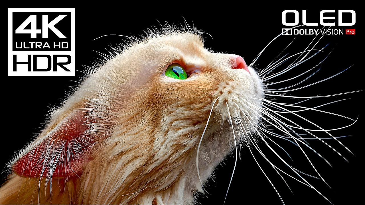 Meditation Study Calm Music