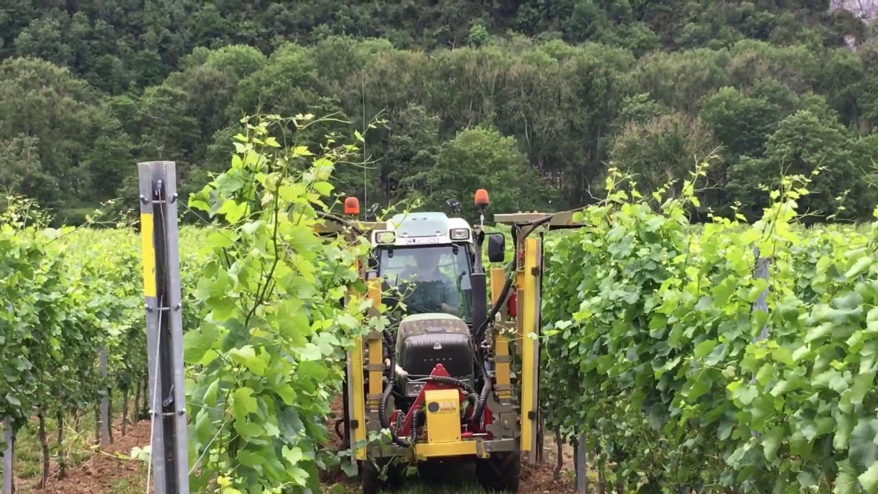 ROGNAGE at CHATEAU BON BARON