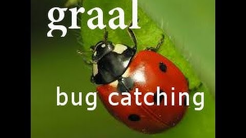 bug catching