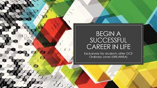 Trailer VIVID FUTURE Successful Career in Life