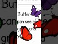 Butterflies can see#fact#shorts