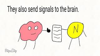 Brain communication: how it works