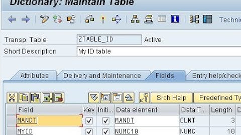 How to Create Table in ABAP in SAP -SE11 Data Dictionary - Intact Abode